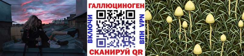 Псилоцибиновые грибы ЛСД  купить   Великие Луки 